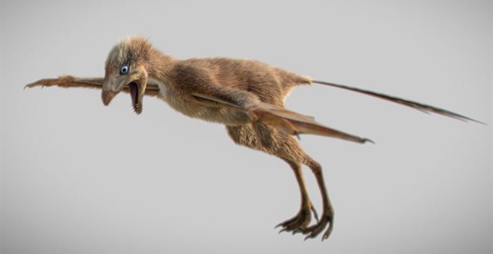 Ανακαλύφθηκε μικρόσωμος δεινόσαυρος με φτερά νυχτερίδας&#33;