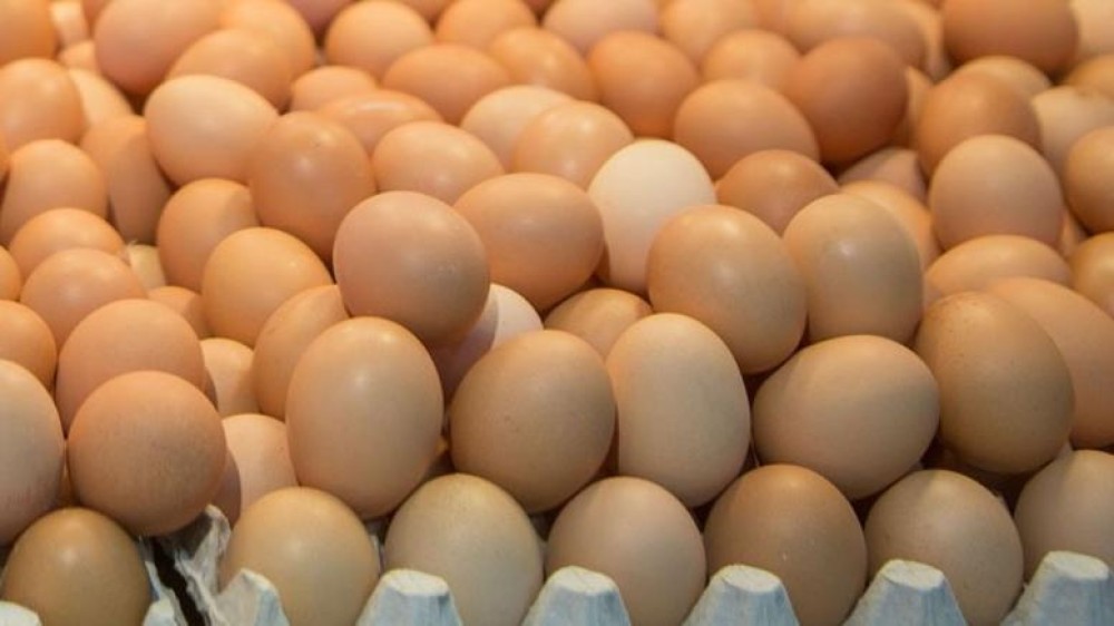 Δεσμεύτηκαν 33.000 αυγά και 80 κιλά αλλαντικών