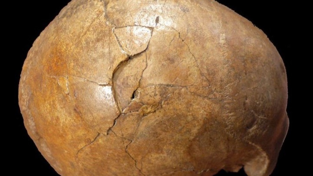 Ελληνίδες ερευνήτριες αποκάλυψαν ένα βίαιο φόνο πριν 33.000 χρόνια