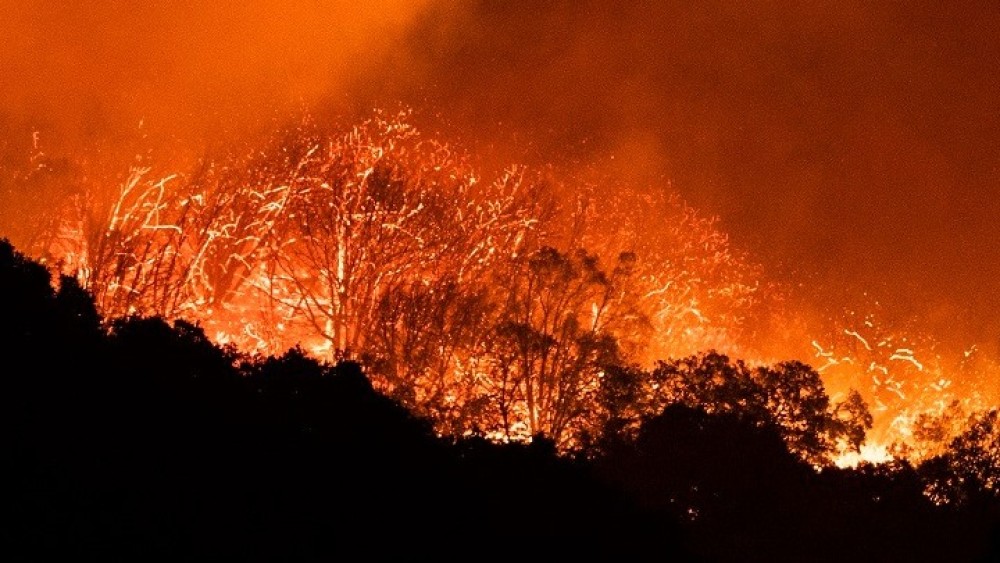 ΗΠΑ: Πρωτόγνωρες πυρκαγιές στο Όρεγκον καταστρέφουν πόλεις-Φόβοι για πολλούς νεκρούς