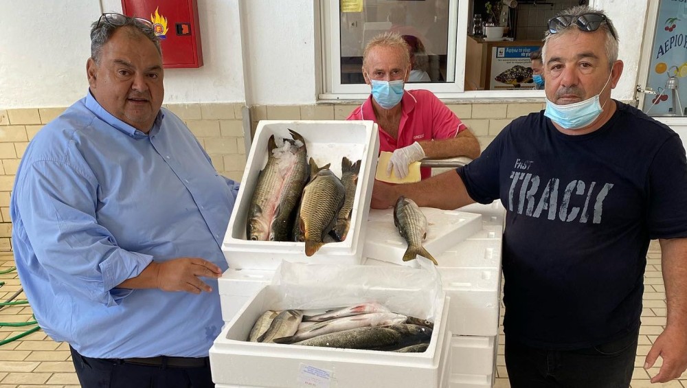ΟΚΑΑ: Ειδικό σήμα θα ενημερώνει τους καταναλωτές για την εφαρμογή διαδικασιών ελέγχου προέλευσης των αλιευμάτων