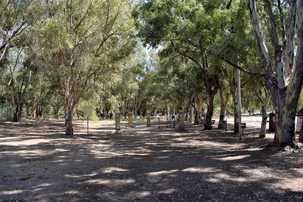 Πάτρα: Ένα οικολογικό πάρκο με υποδομές για άθληση στον αστικό ιστό