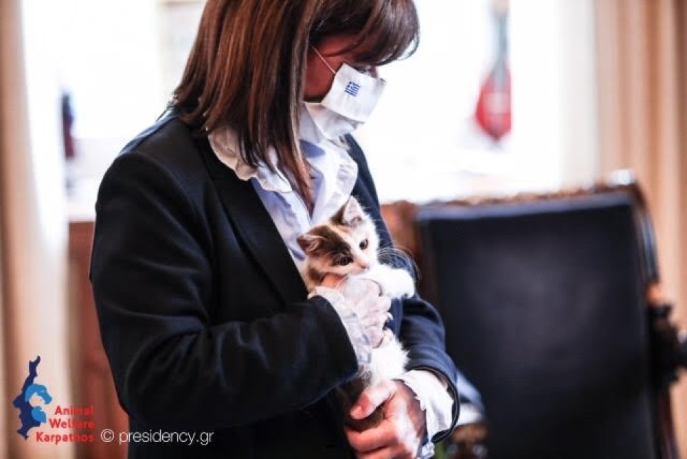Η Κατερίνα Σακελλαροπούλου υιοθέτησε ένα γατάκι από την Κάρπαθο
