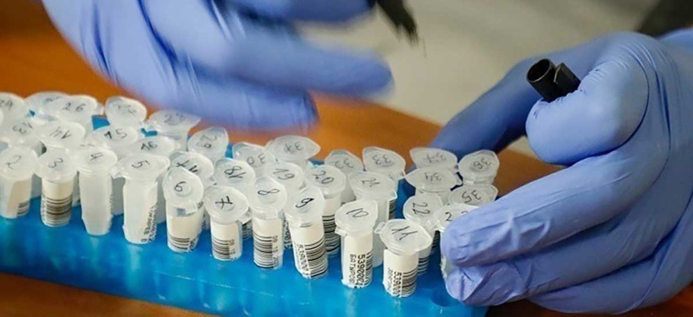 Ρινικό σπρέι κατά του κορωνοϊού κατασκευάζουν Αμερικανοί επιστήμονες