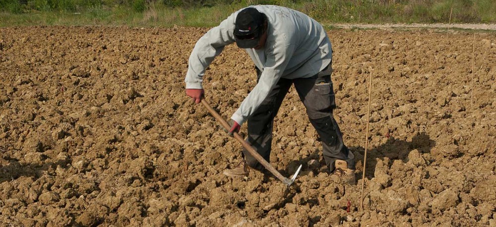 Ακατάσχετες και αφορολόγητες οι ενισχύσεις των αγροτών για τον κορωνοϊό