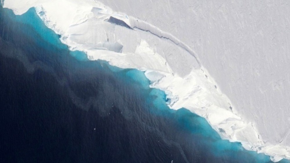 Ανταρκτική: Παράξενα πλάσματα ανακαλύφθηκαν κάτω από τους θαλάσσιους πάγους