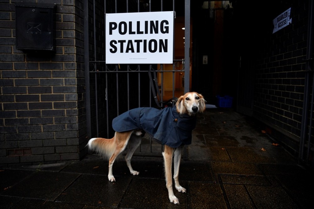 Βρετανικές εκλογές: Πήγαν να ψηφίσουν παρέα με τα ζώα τους