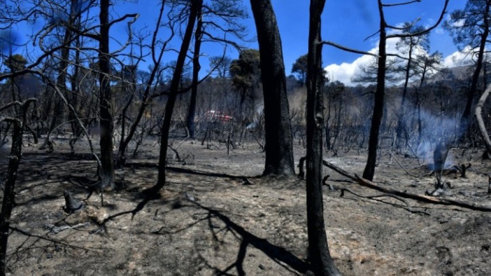 Πυροσβεστική Υπηρεσία: Θέμα χρόνου η ύφεση της πυρκαγιάς στα Γεράνεια Όρη