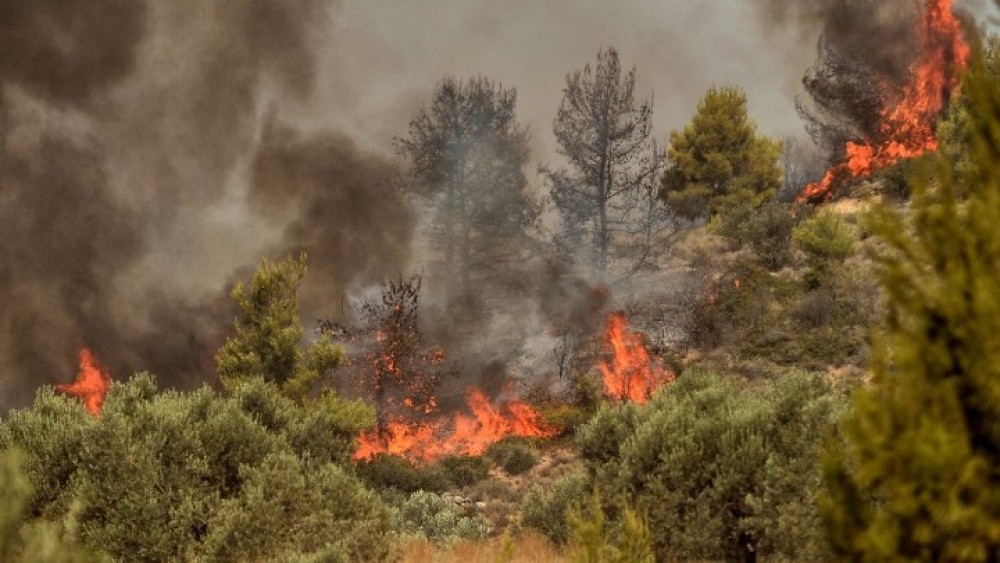 Κόρινθος: Πυρκαγιά στην περιοχή Καλαμάκι &#8211; Δεν υπάρχει άμεσος κίνδυνος για κατοικίες
