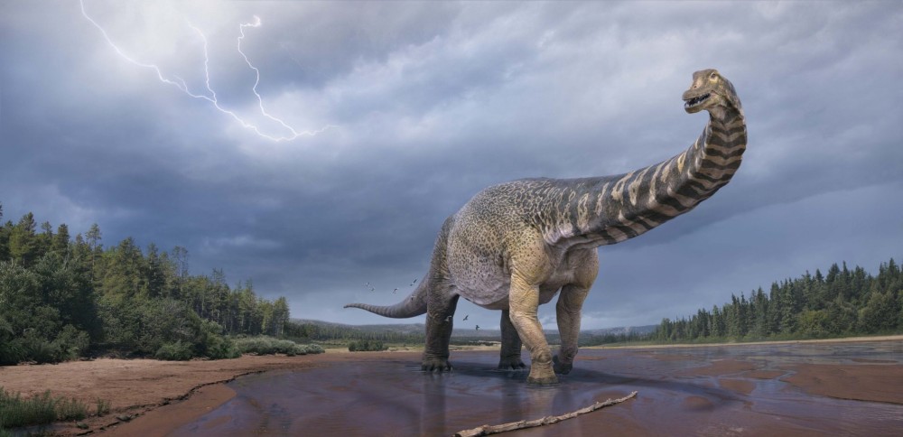 &#8220;Αστραλοτιτάν&#8221;: Ανακαλύφθηκε δεινόσαυρος με μήκος όσο ένα γήπεδο μπάσκετ
