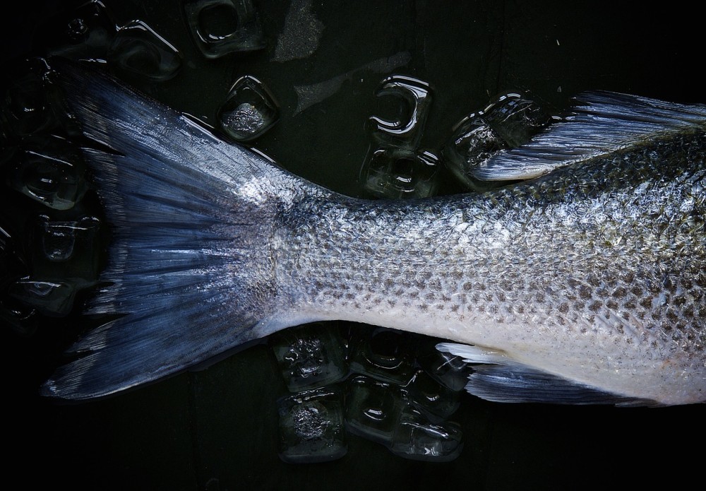 Κορωνοϊός: Μικρότερος ο κίνδυνος για όσους κάνουν κυρίως φυτοφαγική και ψαροφαγική διατροφή