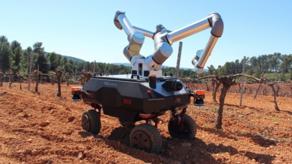 «BACCHUS»: Τον Ιούλιο «πατάει» σε αμπελώνα το δίχειρο ρομπότ τρύγου