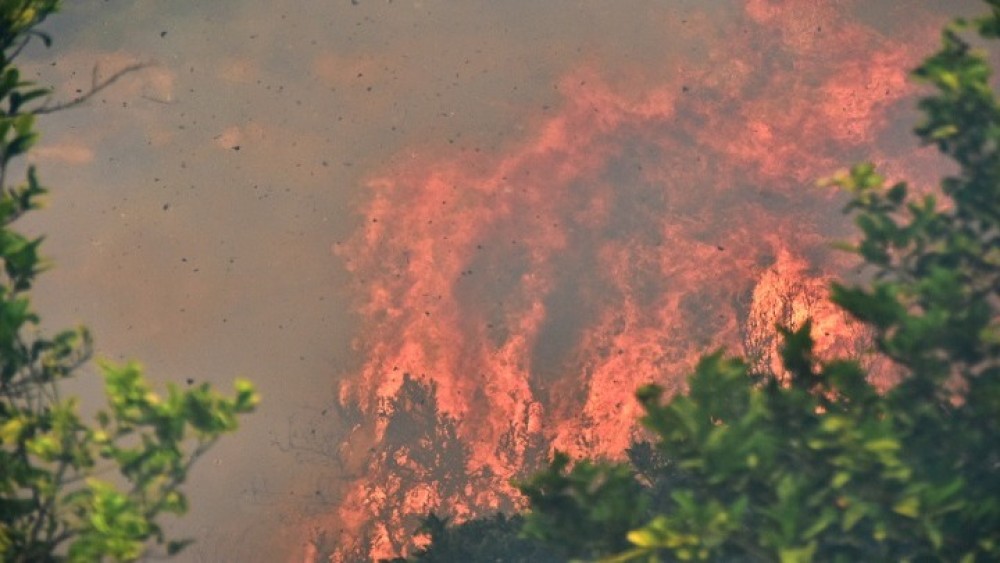 Δήμος Σουφλίου: Εκκενώνεται, για προληπτικούς λόγους, ο οικισμός της Λευκίμμης λόγω της φωτιάς