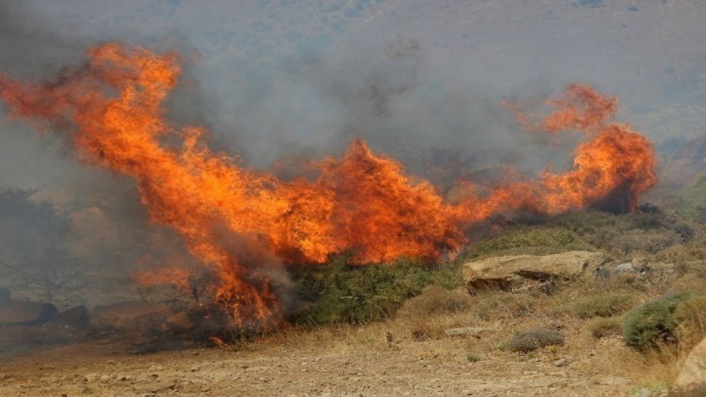 Φωτιά στην Πάρνηθα από κεραυνούς: Επιχειρούν και δύο ελικόπτερα για την κατάσβεση
