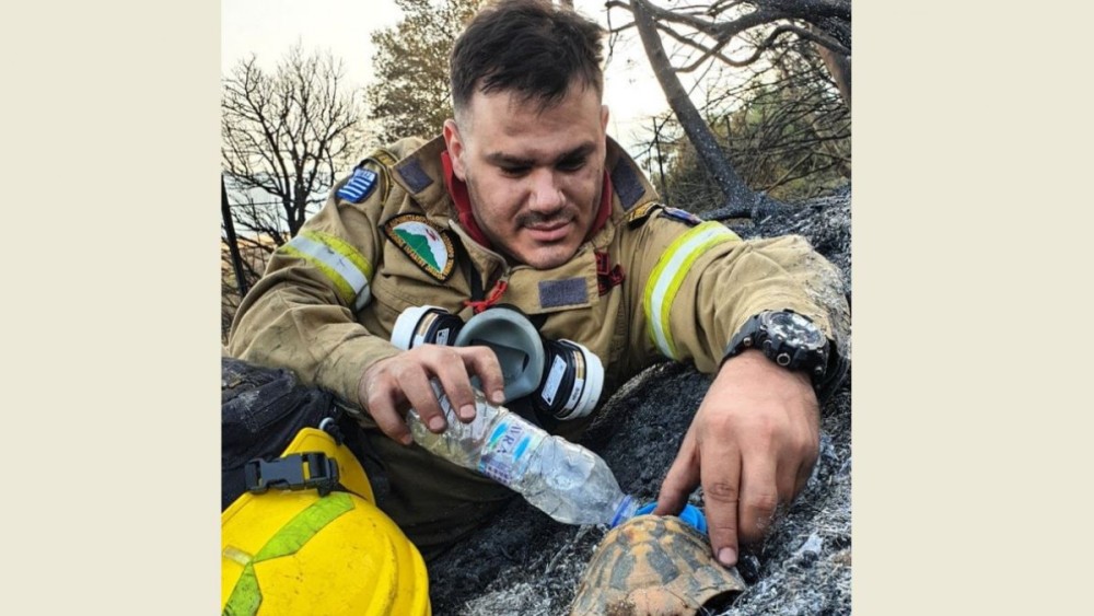 Αχαΐα: Λίγο νερό στη χελώνα μετά τη φωτιά &#8211; Συγκινεί η φωτογραφία του πυροσβέστη