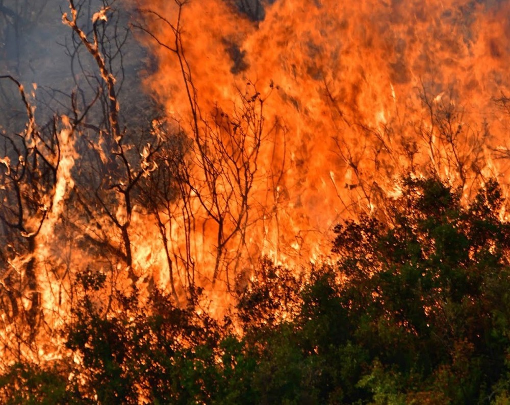 Ναύπλιο: Σε εξέλιξη η φωτιά στο Αραχναίο