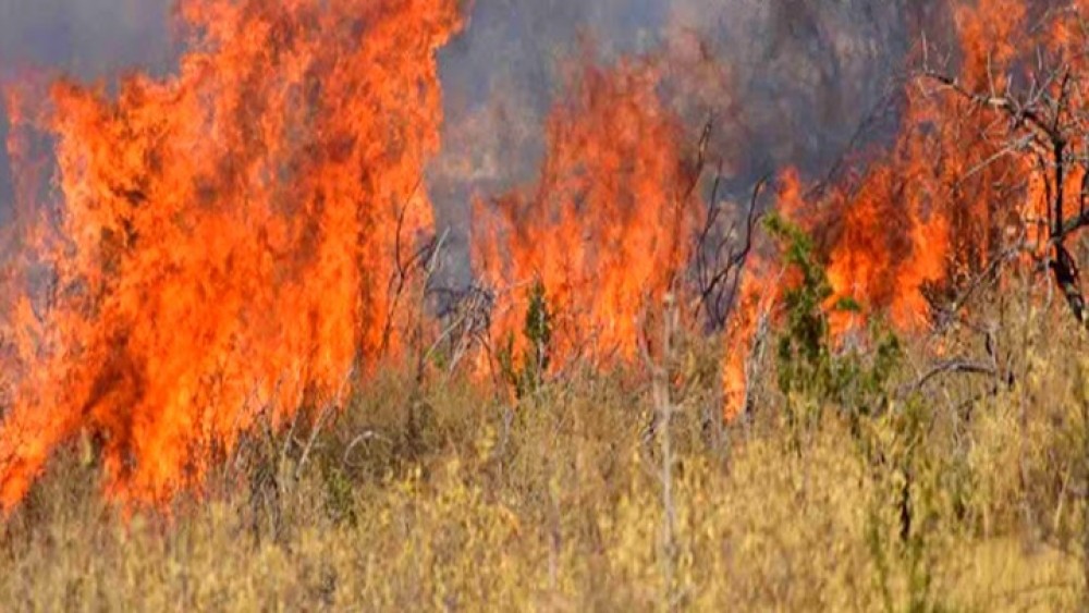 ΓΓΠΠ: Πολύ υψηλός κίνδυνος πυρκαγιάς την Πέμπτη για 4 περιφέρειες
