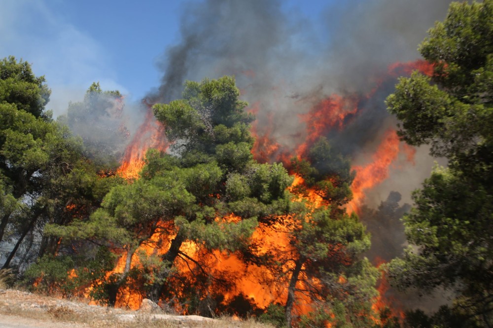 Αττική: Εκκενώνονται Σταμάτα και Ροδόπολη &#8211; Μπήκε στο Πευκόφυτο η φωτιά