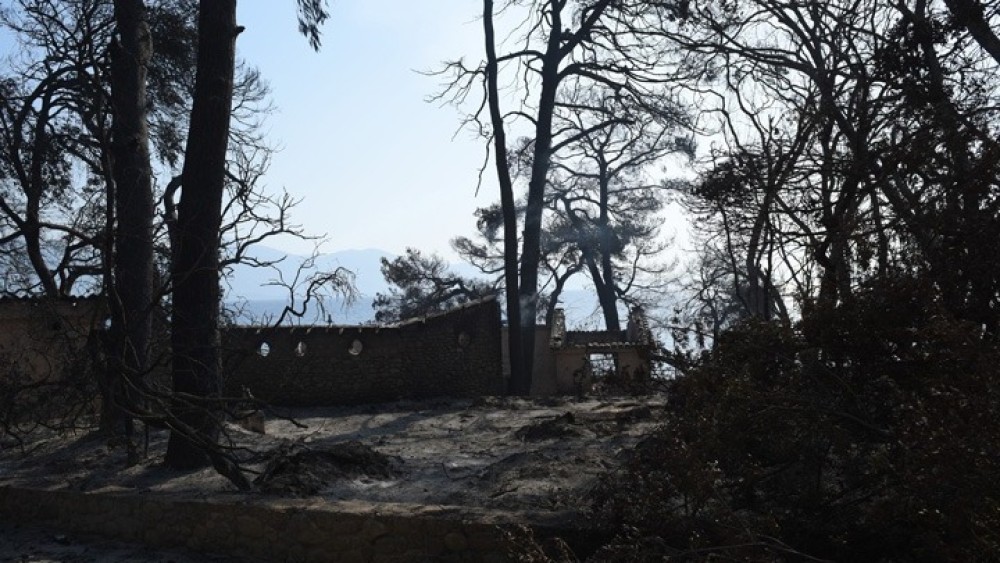 Στην Πάτρα κυβερνητικό κλιμάκιο: Αποτίμηση των καταστροφών από την πυρκαγιά στην Αιγιάλεια