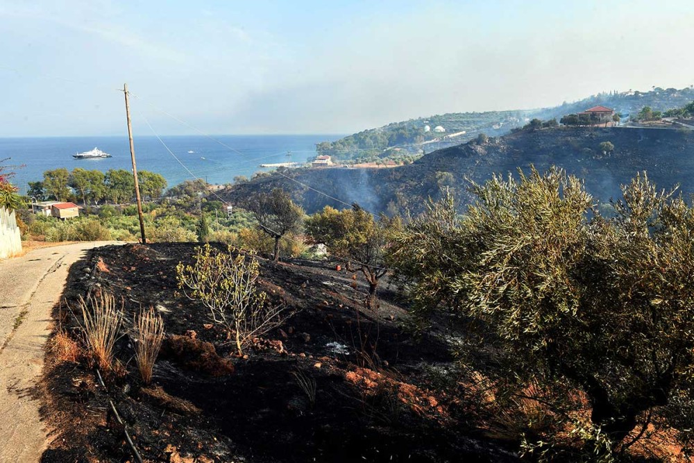 Πυρκαγιές σε Βασιλίτσι-Βλαχόπουλο-Καστάνια: Ξεκίνησαν να επιχειρούν τα εναέρια μέσα
