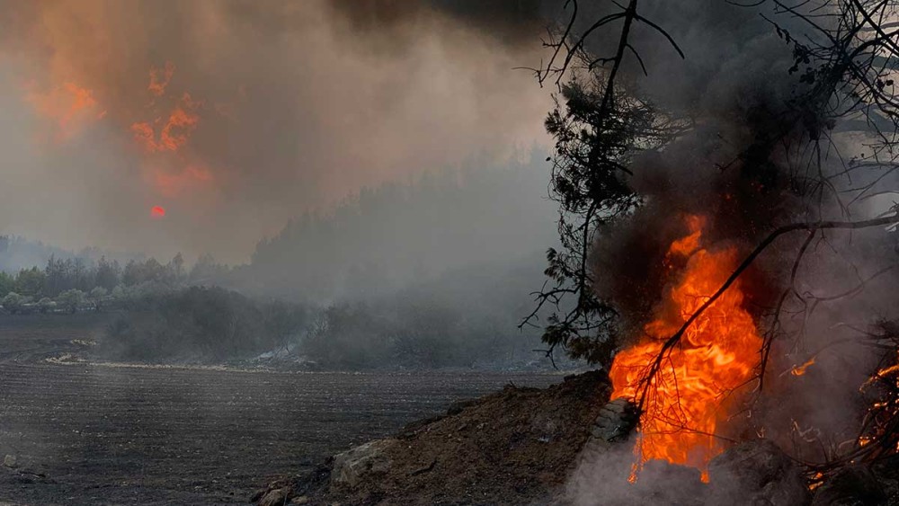 Πολύ υψηλός κίνδυνος πυρκαγιάς σε Αττική, Εύβοια, Λακωνία και Βόρειο Αιγαίο