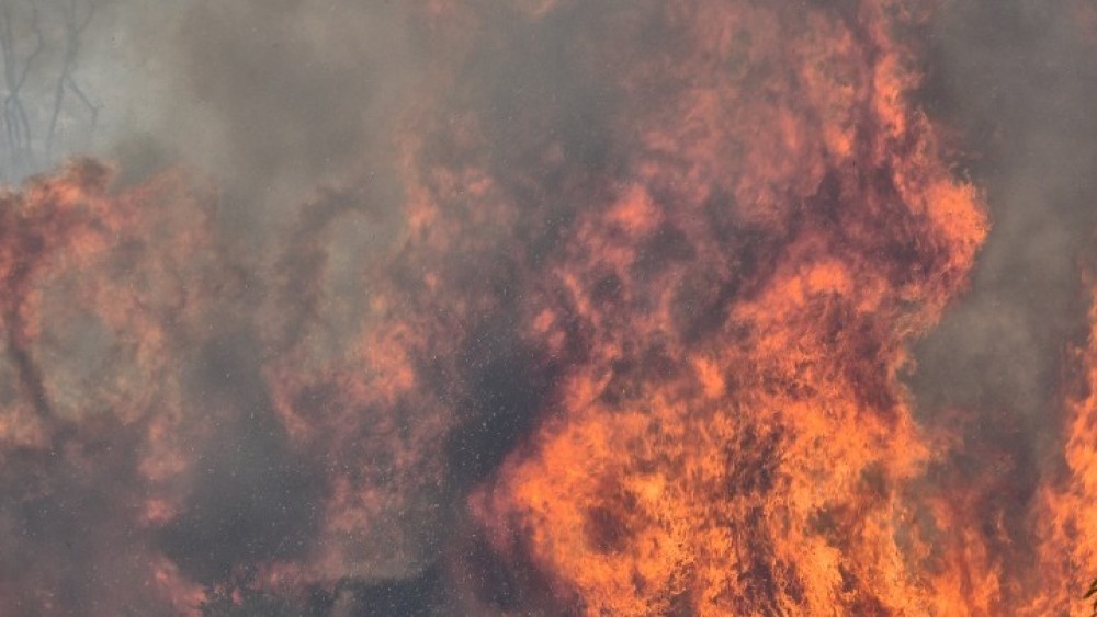 Λίμνη Ευβοίας: Τέσσερα τα μέτωπα της φωτιάς-Μετρούν τα καμένα σπίτια