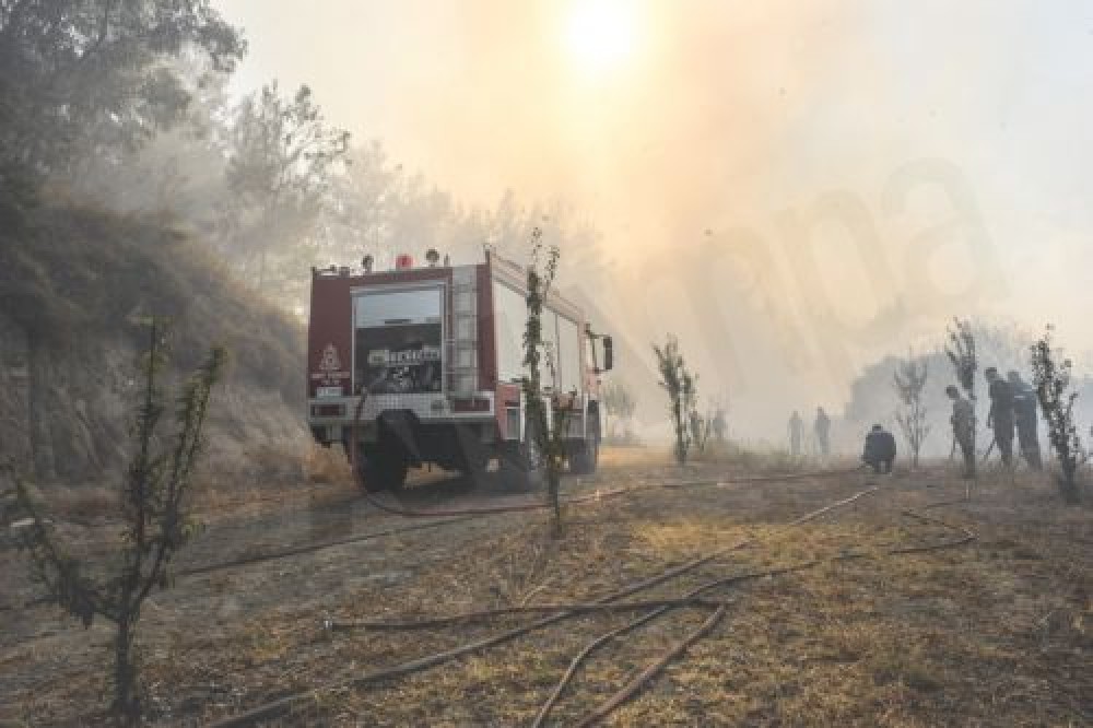 Γρεβενά: Εκτός ελέγχου η φωτιά, εκκενώνονται άλλοι 5 οικισμοί