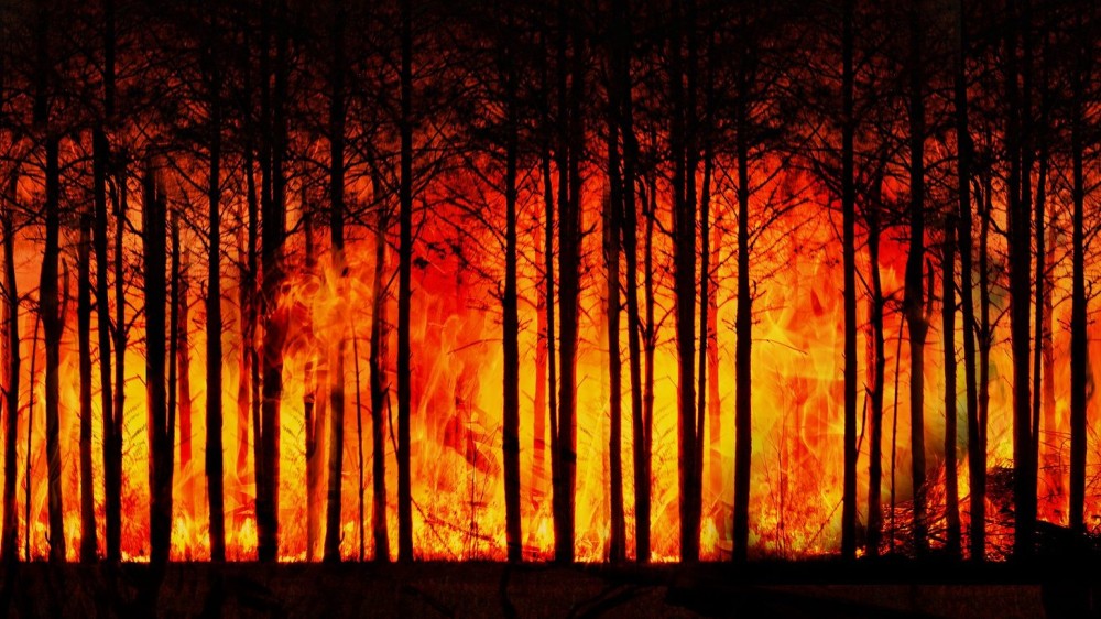 Πώς η πρόληψη μπορεί να αποτρέψει τις μεγάλες πυρκαγιές