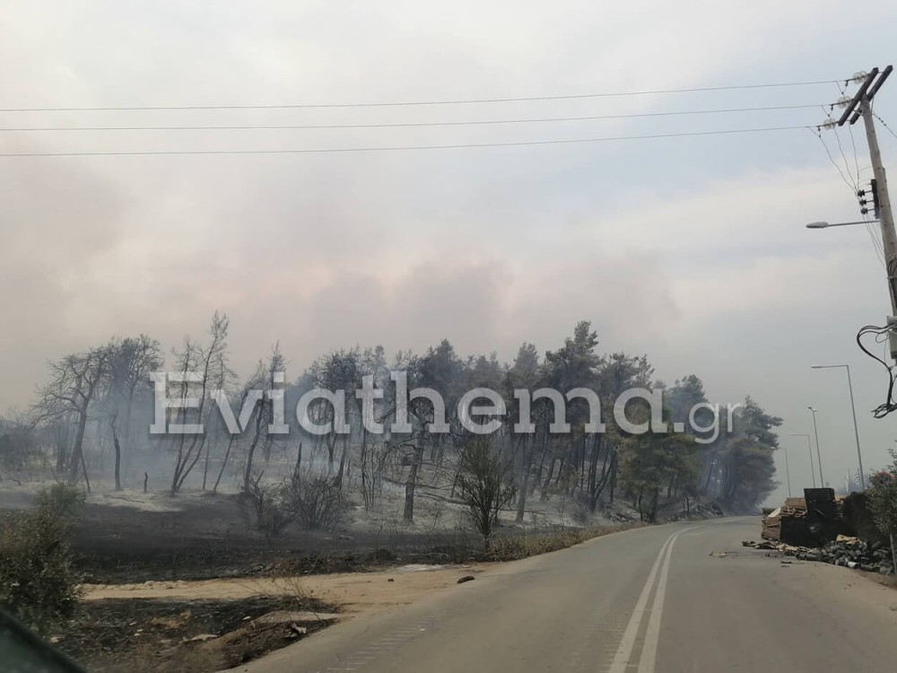 Ευβοια-Τσαπουρνιώτης: Ολοσχερής καταστροφή &#8211; Σε Κήρινθο και Στροφυλιά οι φλόγες