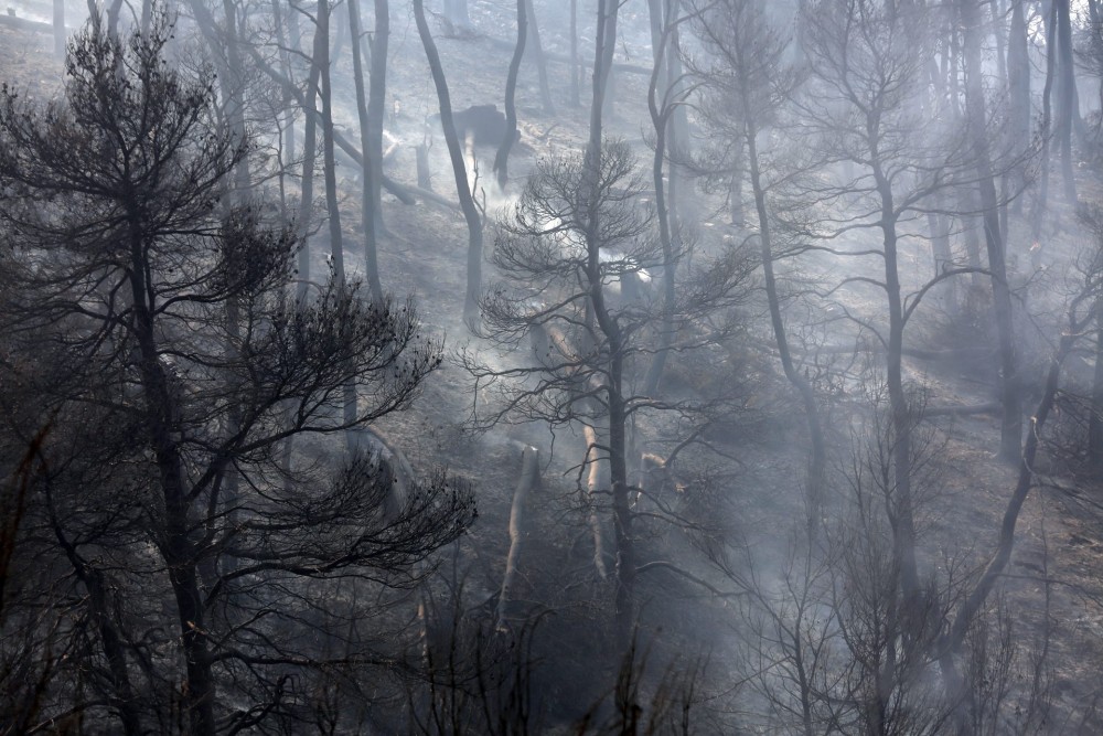Φωτιά στην Αττική: Τιτάνια μάχη με τις φλόγες και τις αναζωπυρώσεις