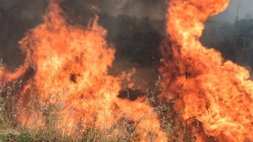 Αλ. Δημητρακόπουλος (ΑΠΘ): Φωτιές σαν αυτές που ζούμε δεν τις καταστέλλει καμία πρόληψη