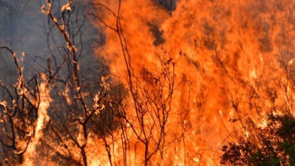 &#8220;Μαύρη&#8221; πρόβλεψη Ζερεφού: Θα δούμε μεγαλύτερες πυρκαγιές