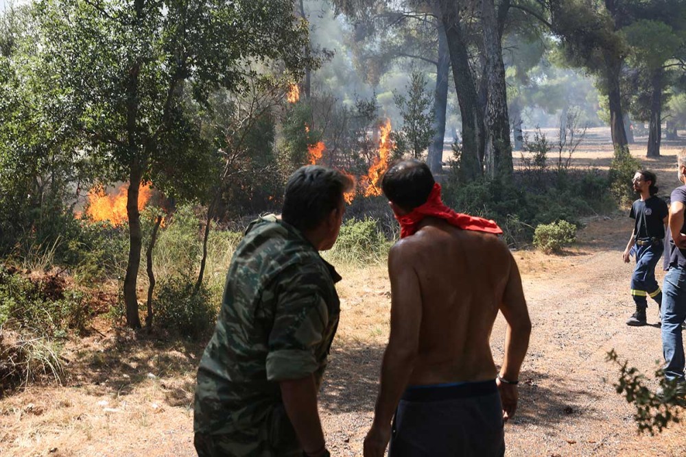 Φωτιά στα Βίλια: Μάχη κοντά στους οικισμούς Οινόη και Πανόραμα