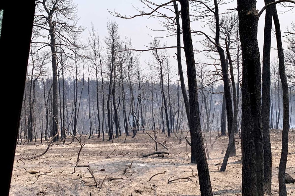Πάνω από 650.000 στρέμματα οι καμένες εκτάσεις σε Εύβοια, Αττική και Λακωνία