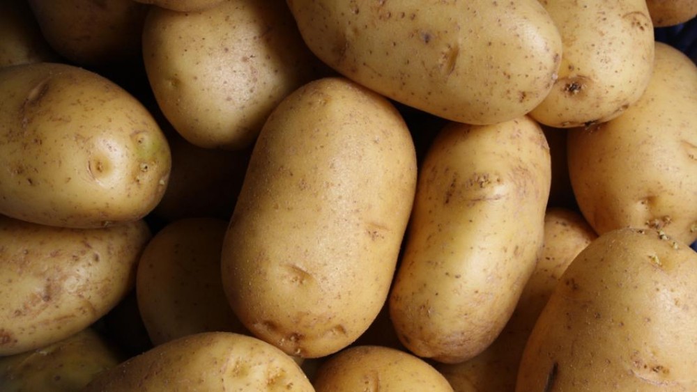 Παραπέμπεται εταιρεία που διακινούσε ποσότητες πατάτας με ψεύτικη ένδειξη