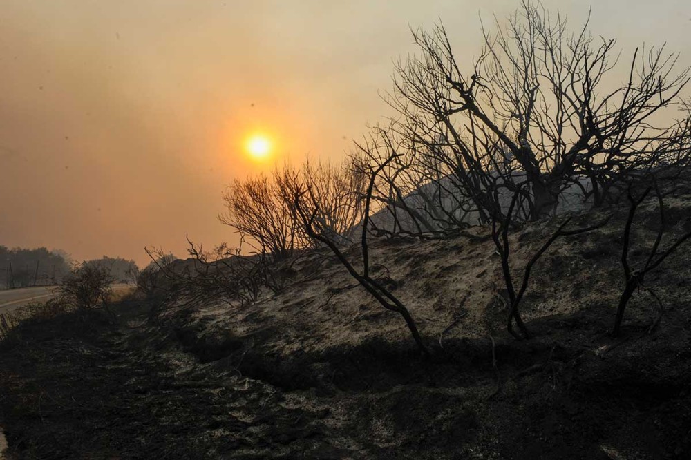 Μάχη στη Ρόδο για την κατάσβεση της φωτιάς-Αναζωπυρώθηκε το μέτωπο της Ψίνθου