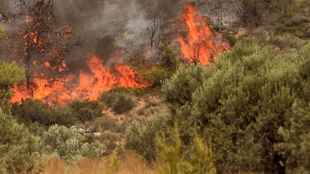 Μεσσηνία:Καίγονται χωριά. Έχουν εκκενωθεί συνολικά εννέα κοινότητες