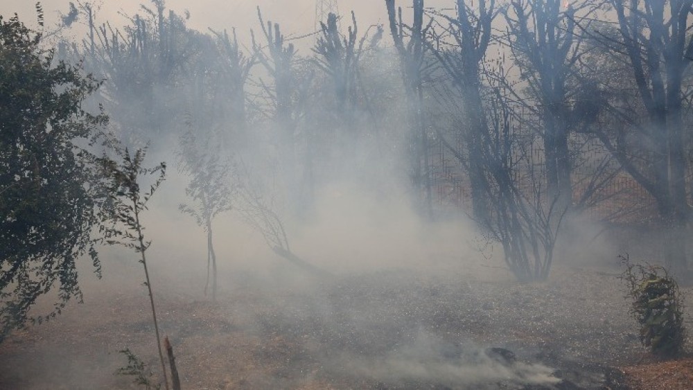 Φωτιά στην ανατολική Μάνη: Εκκενώνονται Γύθειο και Μαυροβούνι