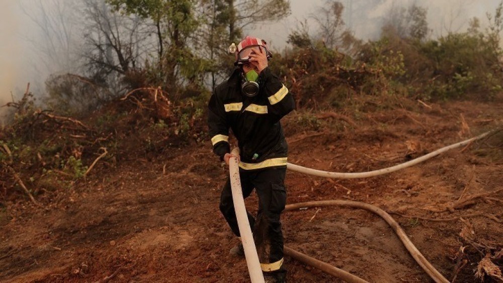 Τριακόσια στρέμματα έκαψε η φωτιά στους Αντιφιλίππους- Στον εισαγγελέα ο κτηνοτρόφος που συνελήφθη