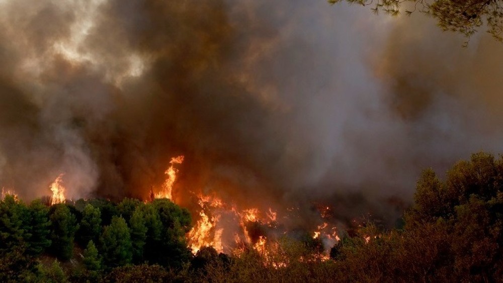 Αμαλιάδα: Νέα μεγάλη φωτιά στην περιοχή της Κορυφής