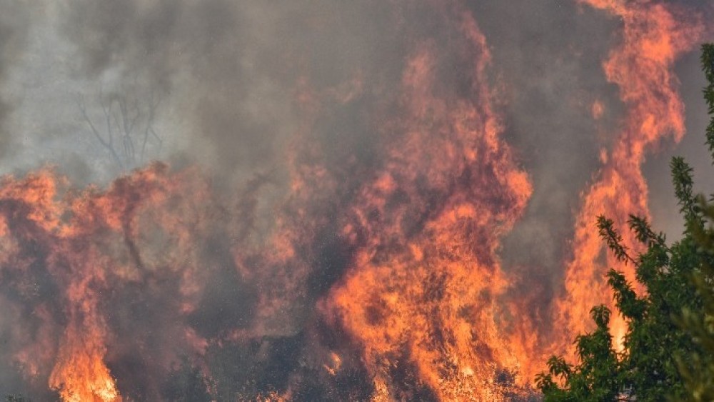 Τριάντα εννέα δασικές πυρκαγιές το τελευταίο 24ωρο σε όλη την Ελλάδα