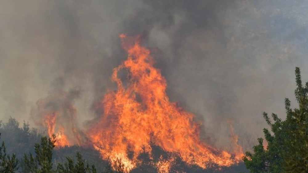Φωτιά στη Φθιώτιδα: Εντολή εκκένωσης του χωριού Λογγίτσι