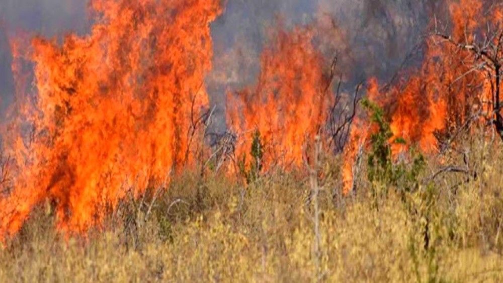 Μεσολόγγι: Σε εξέλιξη πυρκαγιά, στην περιοχή Άγιος Συμεών