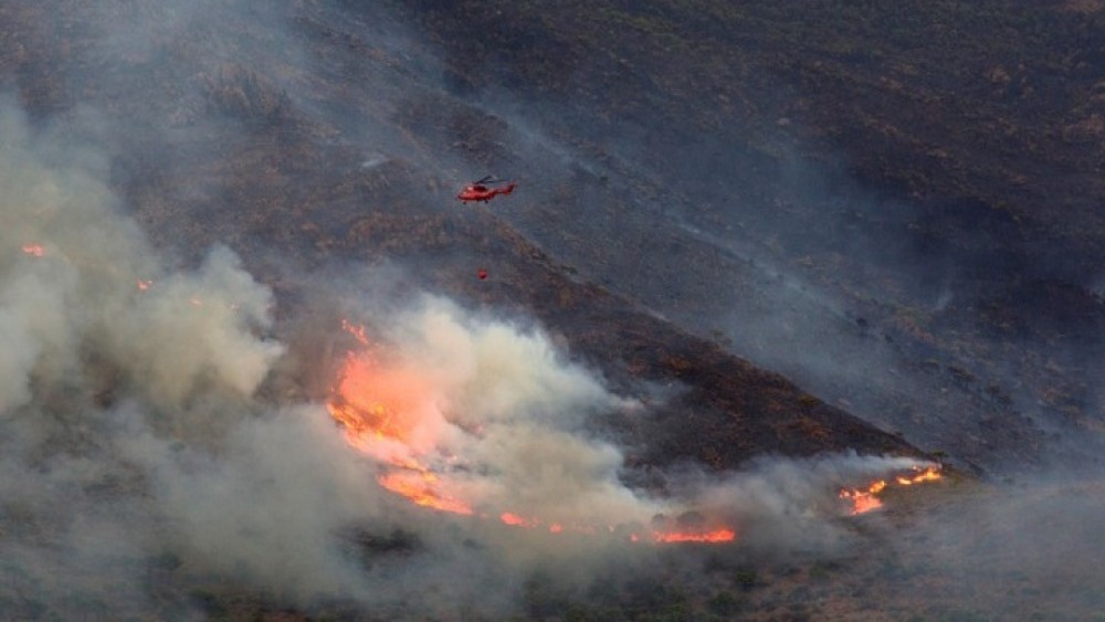 Ισπανία: Υπό έλεγχο η μεγάλη δασική πυρκαγιά στην Ανδαλουσία
