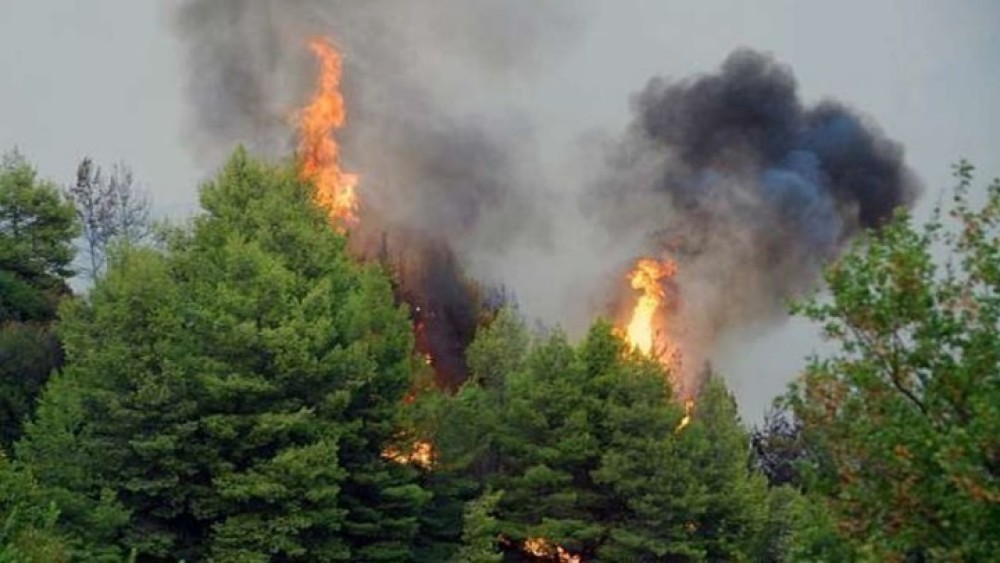 Mεγάλη πυρκαγιά στην Αρκαδία: Μήνυμα του 112 για ετοιμότητα στο Λεοντάρι Μεγαλόπολης