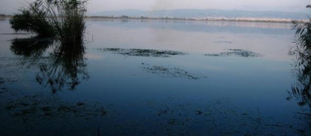 Σέρρες: απαγόρευση του ψαρέματος στη λίμνη Κερκίνη