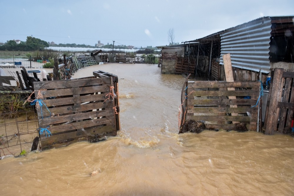 Μεγάλες καταστροφές σε χιλιάδες μελίσσια της Θεσσαλίας λόγω πλημμυρών
