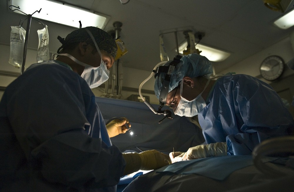 Γιατροί στις ΗΠΑ συνέδεσαν με επιτυχία σε άνθρωπο νεφρό από χοίρο