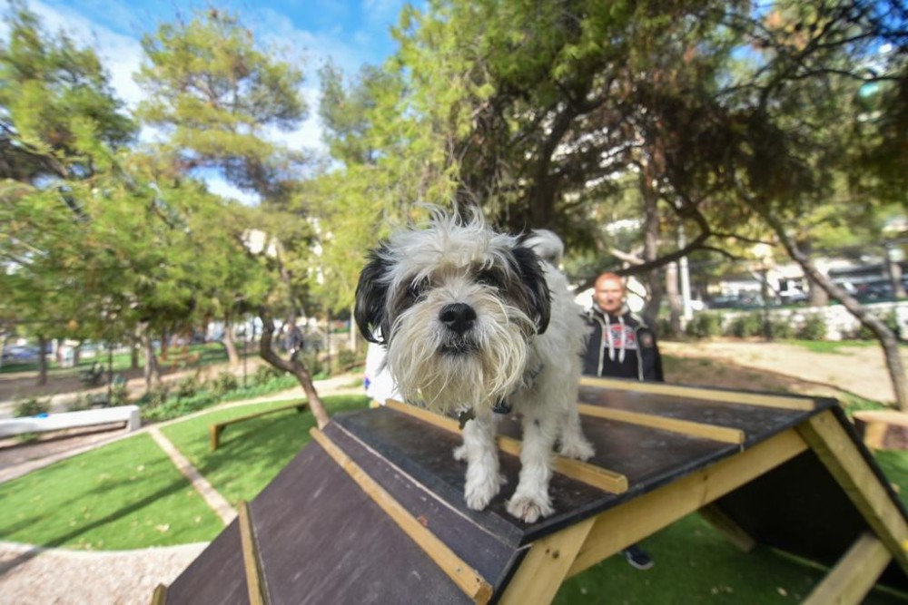 Δύο μεγάλα πάρκα για σκύλους από τον Δήμο Αθηναίων (pics)