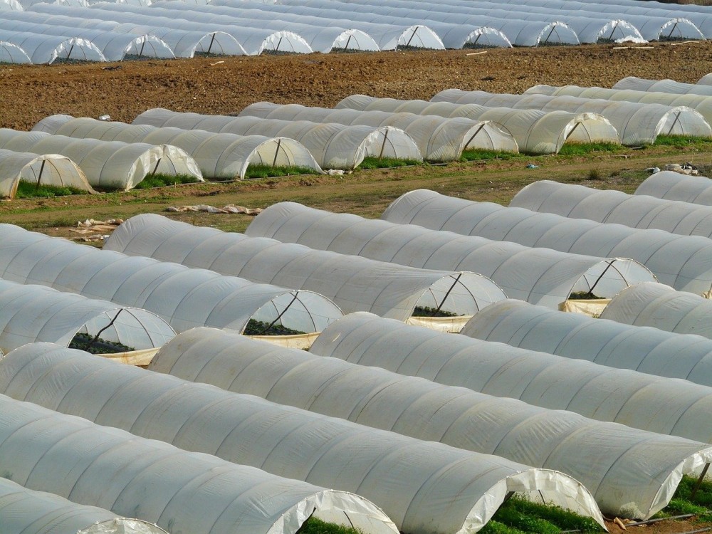 ΥΠΑΑΤ: Πιστοποιήθηκαν 11 φυτοϋγειονομικοί ελεγκτές για τη στήριξη των εξαγωγών